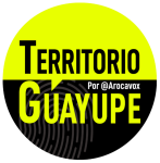 Logo Footer